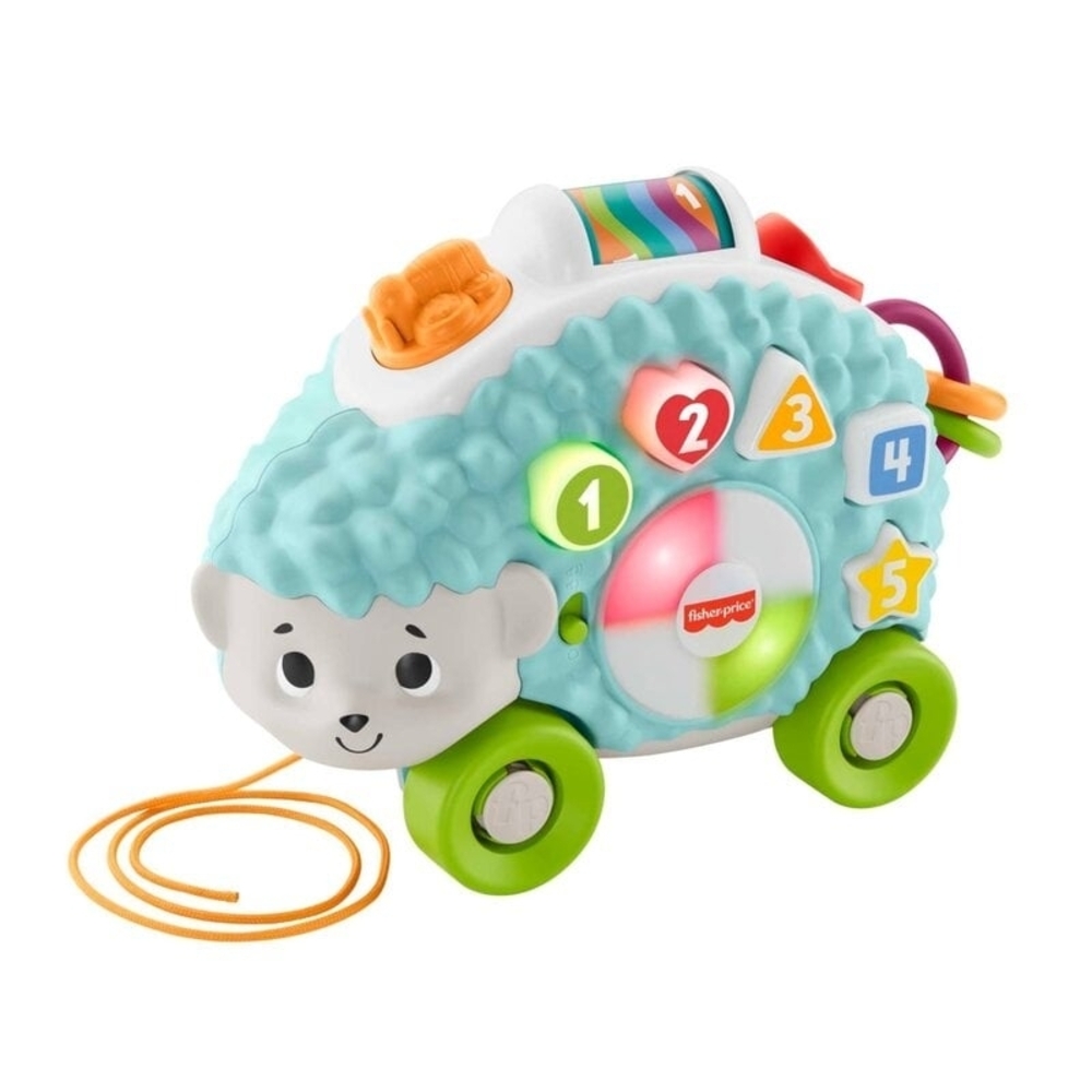 Fisher-Price Interactive Hedgehog Toy with Blue and Green